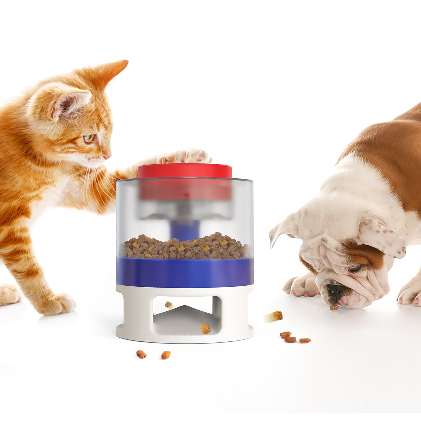 Dog Food Slow Pet Bowls & Feeder