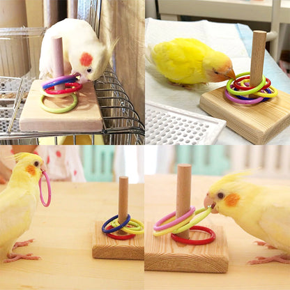 Bird Training Toys Set Wooden Block Puzzle Toys For Parrots Colorful Plastic Rings Intelligence Training Chew Toy Bird Supplies