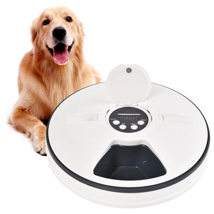 Pet Automatic Feeder, Digital Timer, Detachable Dog and Cat Non-Slip 6 Plate with Tape Recorder, Dry and Wet Food,White