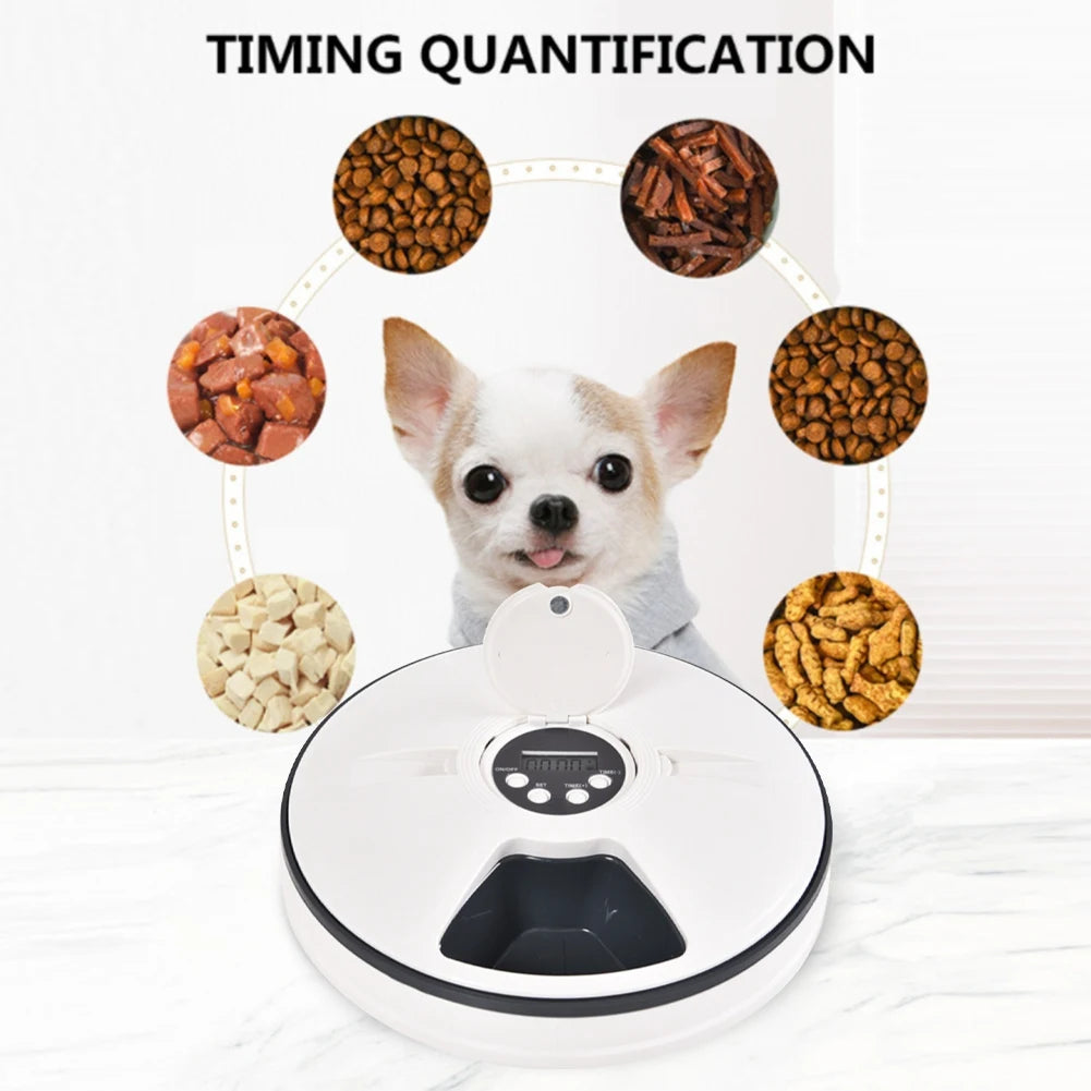 Pet Automatic Feeder, Digital Timer, Detachable Dog and Cat Non-Slip 6 Plate with Tape Recorder, Dry and Wet Food,White