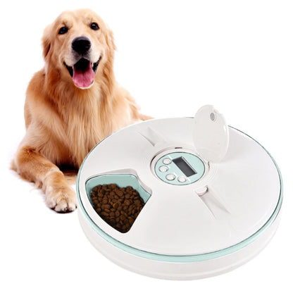 Pet Automatic Feeder, Digital Timer, Detachable Dog and Cat Non-Slip 6 Plate with Tape Recorder, Dry and Wet Food,White