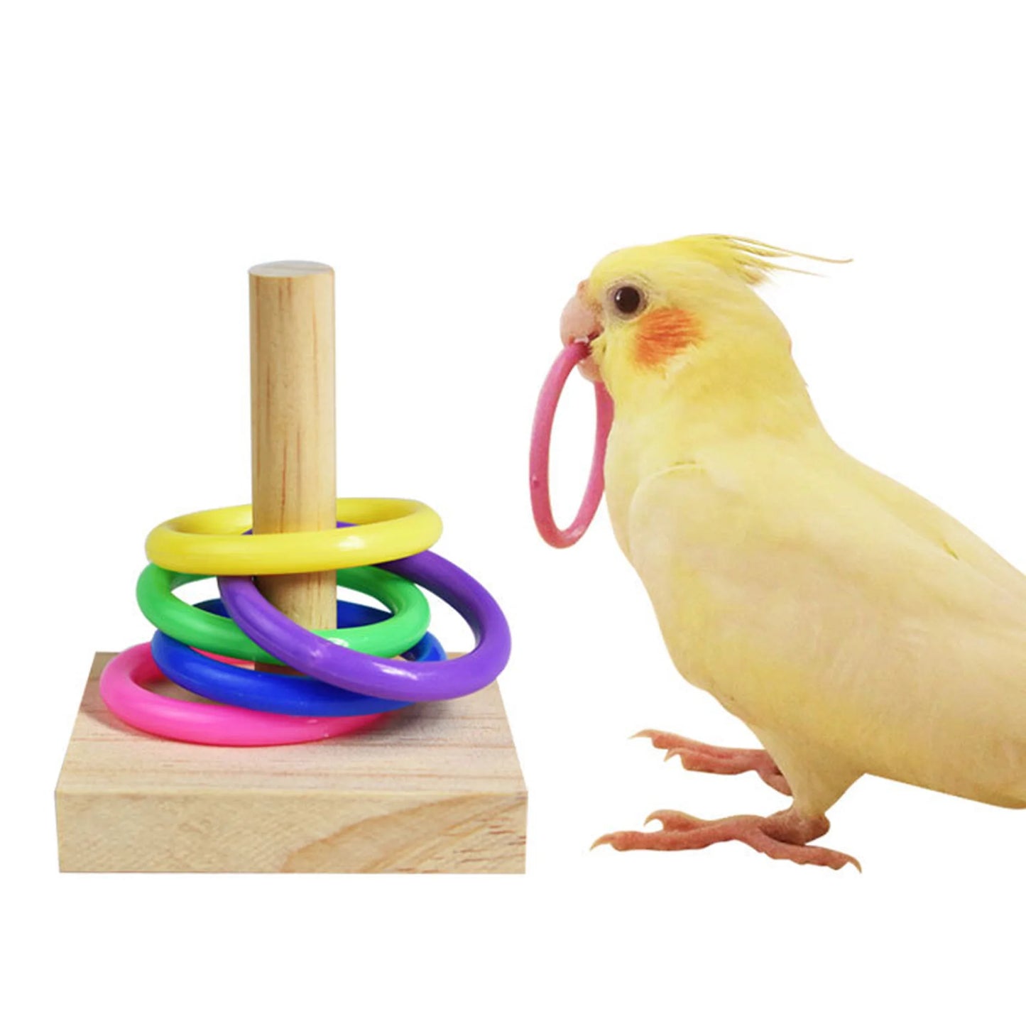 Bird Training Toys Set Wooden Block Puzzle Toys For Parrots Colorful Plastic Rings Intelligence Training Chew Toy Bird Supplies