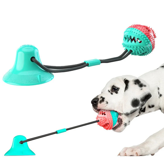 Dog Chew Toys With Suction Cup